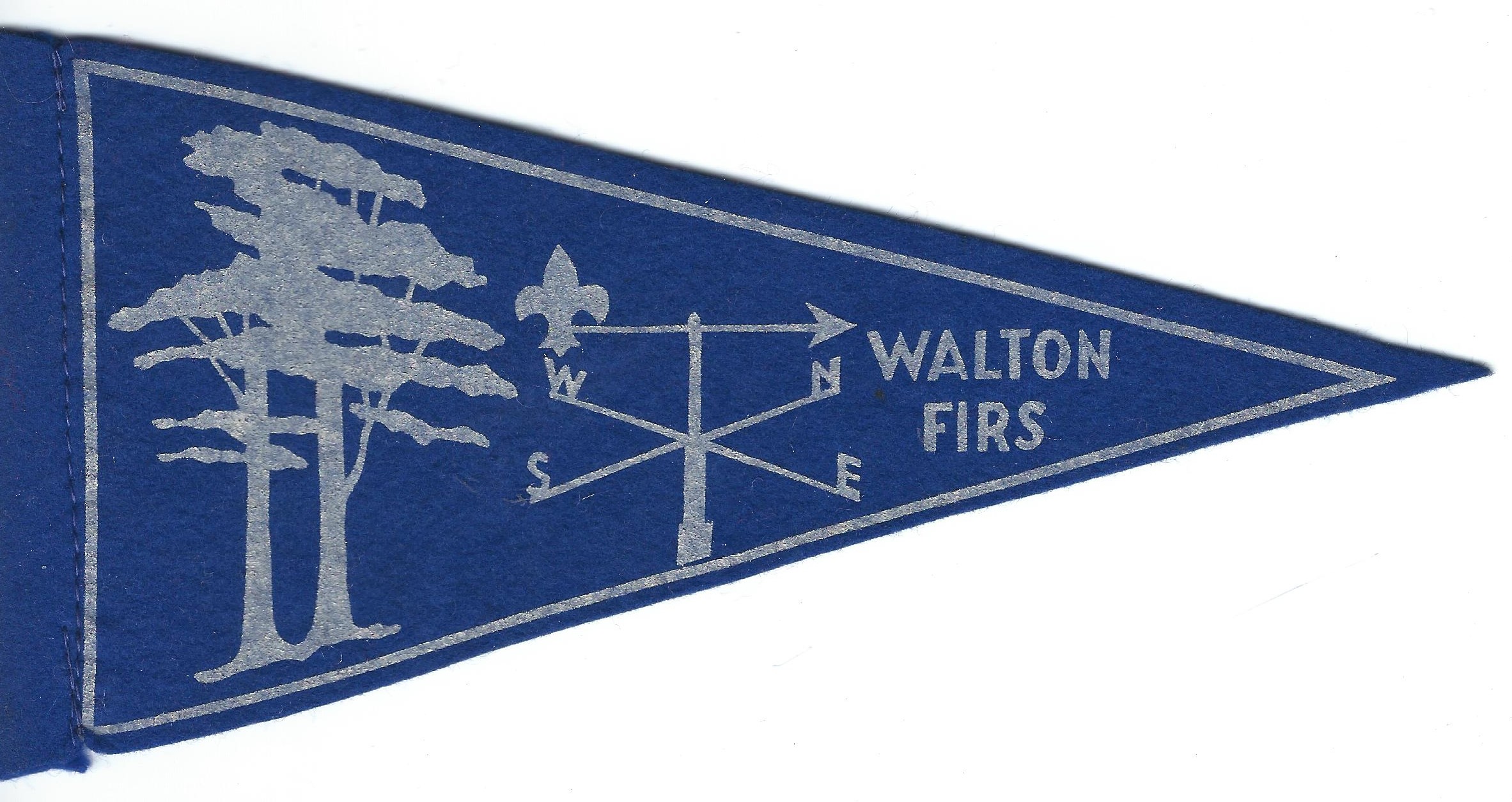 Walton Firs
